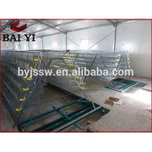 New Design Quail Battery Cages ( Hot Sale)